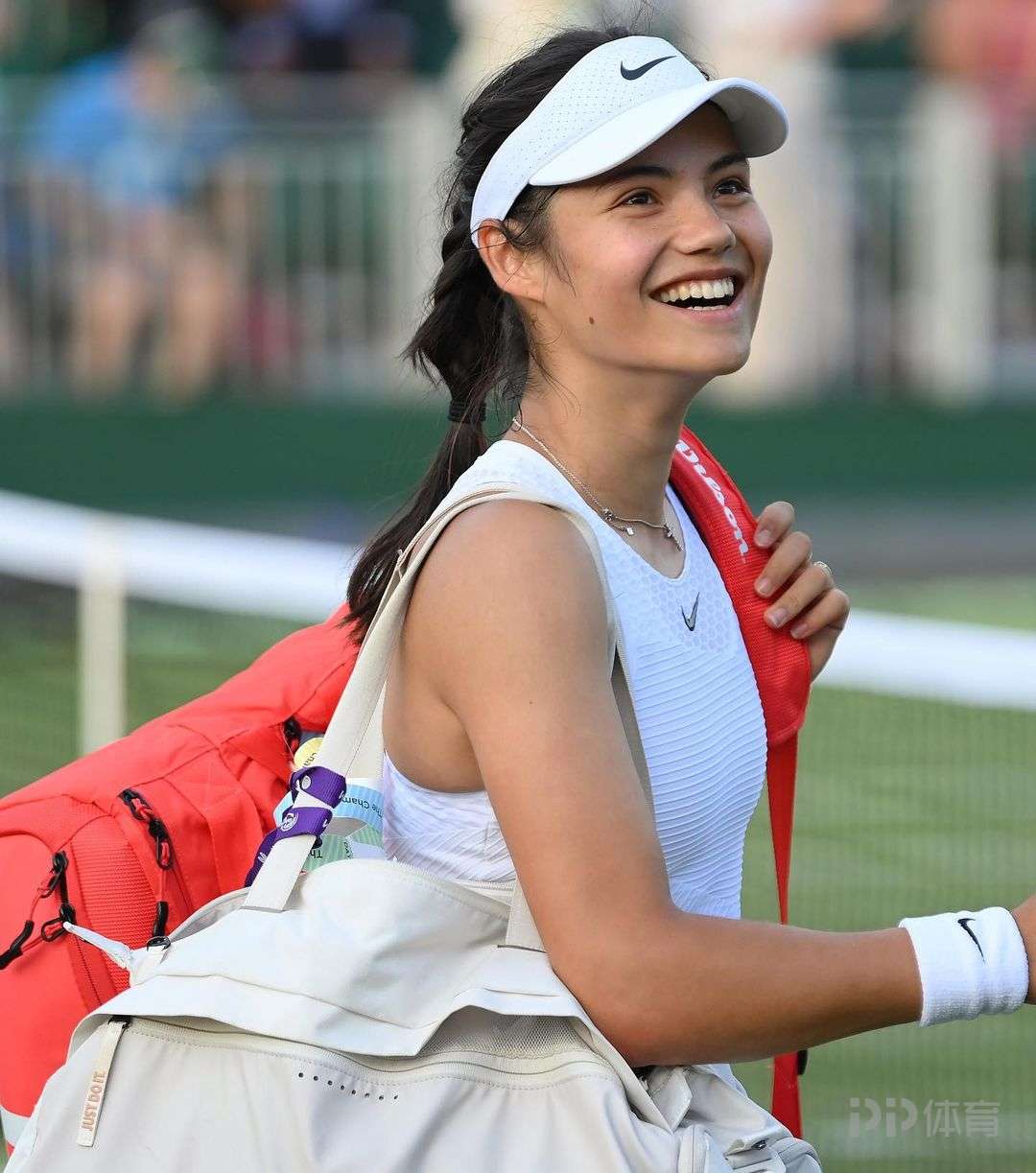 泽卡的恢复 泽卡的恢复