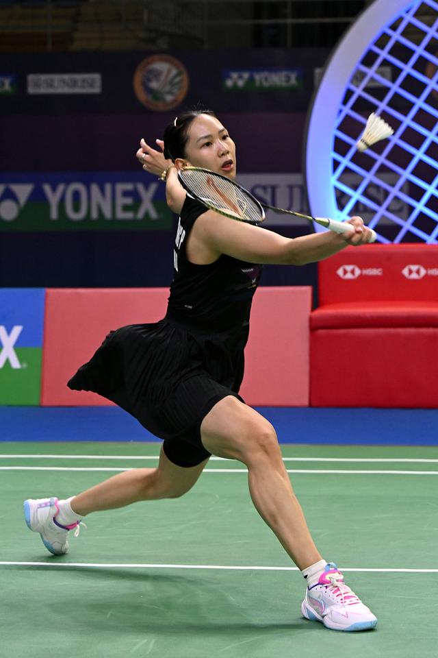 效力的明星 效力的明星